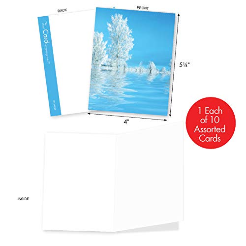 The Best Card Company - Box Of 10 All Occasion Cards Blank (4 X 5.12 Inch) - Scenic Landscape Cards Assorted - Tree-Flections Am6134Ocb-B1X10 #TOP1