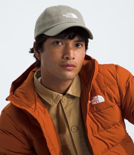 Image of THE NORTH FACE Norm Hat