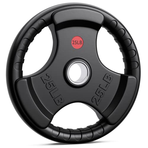 Xddias Rubber Weight Plates 2-Inch Olympic Grip Plate In Pairs Or Single For Strength Training, Weightlifting And Bodybuilding In Home & Gym, Solid Cast Iron Weight Plates For Barbell, 10Lb-45Lb #TOP10