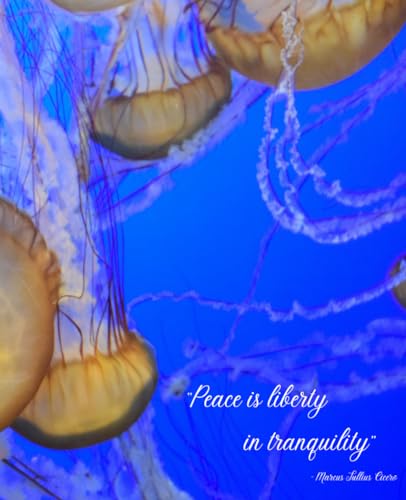 Journal | Jellyfish themed