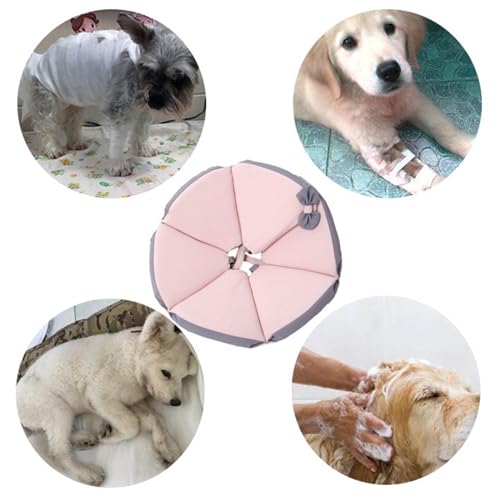 Collier de convalescence pour chien empêchant le grattage des oreilles