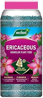 Westland Ericaceous Plant Food Granules Jar 900 g