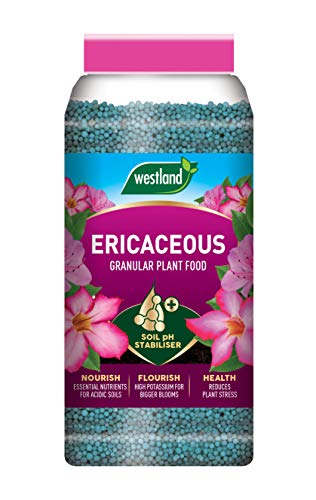 Westland Ericaceous Plant Food Granules Jar 900 g Green