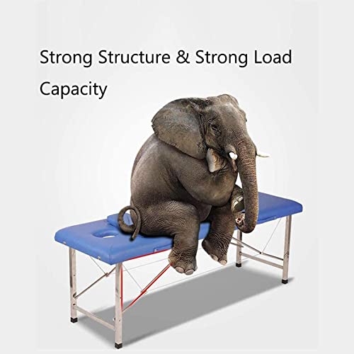 Portable Massage Bed,Portable Massage Bed Table, 2-Section Aluminum Lightweight Foldable Beauty Couch, Portable Massage Couch For Salon Treatment Tattoo Facial SPA - Image 7