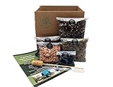 DIY Medium Open and Closed Terrarium Kit (Terracotta Pebbles)