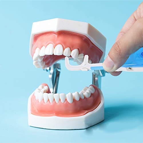 Suporte de fio dental Artibetter para limpeza de dentes, palhetas de plástico de substituição para f