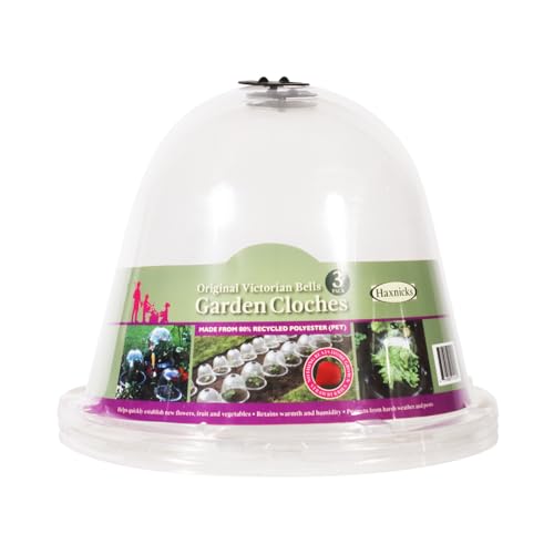 Tierra Garden 50-1100 Haxnicks Protective Plant Bell, 3-Pack