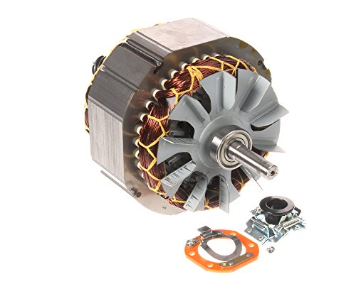 Globe X20060-67 Motor Assembly, Sp20, 1/2 hp, 110/60/1, 17