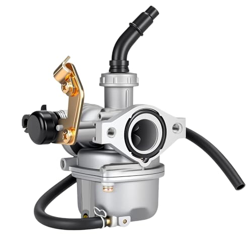 HIAORS PZ19 19mm Carburetor Carb with Cable Choke Compatible with Taotao Coolster 110cc 125cc Apollo Sunl NST Coolsport Lifan Baja ATV Quad 4 Wheeler CRF50 DB14 DB27 4-Stroke Pit Dirt Bike Parts