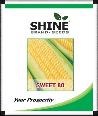 Shine Brand Seeds Sweet Corn Sweet 80 | Makka Ke Beej (500 Gram