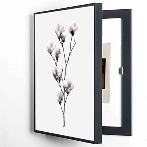 Peinture décorative pour entrée moderne masquant le boîtier électrique