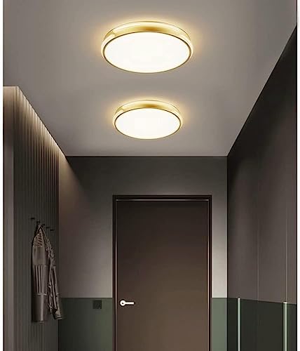 Plafonnier à trois températures de couleur LED avec diffuseur moderne de 50cm - 3