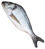 Envío desde Alemania shoperama Peluche de pez de 55 cm, juguete decorativo, accesorio para disfraz, pescador, chef, esquimo