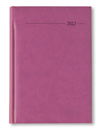 Alpha Edition 174114 Agenda Giornaliera per Anno