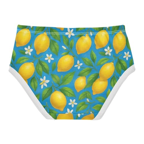 Joisal Yellow Lemons Green Leaves Blue Toddler Girls Underwear 2t Cotton Girl Panties Cute Personalized Briefs Girls Undies2