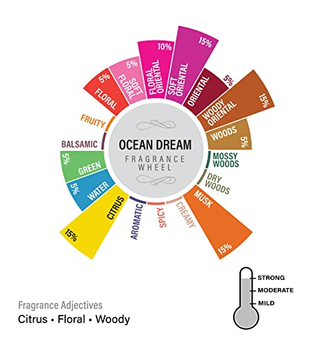 Image of EKAM Ocean Dream Votive Scented Candle, 117 Grams | Ideal for Home Decor, Gifting & Aromatherapy| 10 Hours Burn Time