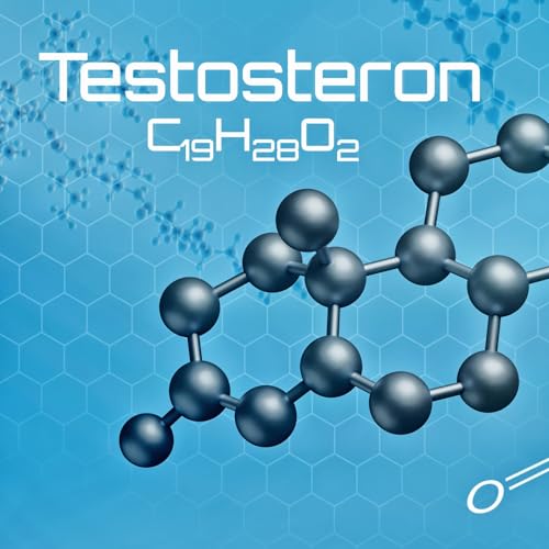 Noam Brusilovsky: Testo Junkie | H&ouml;rspiel