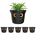 Restmo Self Watering Planters for Indoor Plants, Plastic Flower Pots with Owl Eye Water Level Indicator, House Plants, African Violet, Succulents, Monstera, Off-White