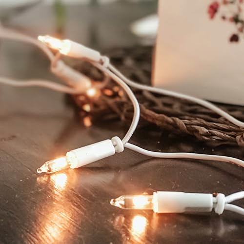 hellum Lichterkette innen strombetrieben, mini Lichterkette 50er Birnen klare warme Lichter, beleuchtete 7,35m, Kabel weiß 50 Lichter mit Stecker für Weihnachten 835083 hellum Lichterkette innen strombetrieben, mini Lichterkette 50er Birnen klare warme Lichter, beleuchtete 7,35m, Kabel weiß 50 Lichter mit Stecker für Weihnachten 835083