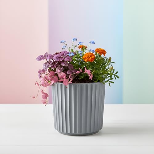 Xtore® Sleek Ribbed Ceramic Planter Pot for Indoor Plants | Contemporary Minimal Flower Pot for Home, Office Desk & Balcony Décor (Matte Grey - Planter only)