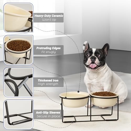 Ceramicelevateddogbowlsetdoubledogbowlswithnonslipmetalstandraiseddogfoodandwaterbowlsetdogfeedingbowlsidealforsmallandmediumdogs2cups27flozbeige Urban Country Home Decor Ceramic elevated dog bowl set double dog bowls with non slip metal stand raised dog food and water bowl set dog feeding bowls ideal for small and medium dogs 2 cups 27 fl oz beige urban country home decor