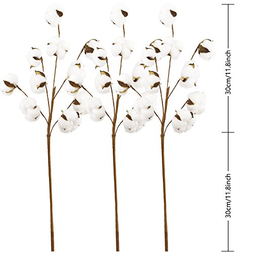 Coceca Cotton Stems - 3 Pack 10 Balls Per Stem - 23 Inch Farmhouse Display Filler-Foral Decoration - Thumbnail 4