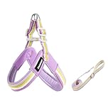 Cavalier King Charles Spaniel Y-shaped harness and leash set, 1.4m lightweight anti-pull harness, soft padding fuchsia S