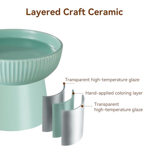 Gamelles en céramique pour chat avec support ergonomique incliné design chic