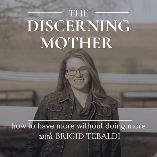 The Discerning Mother cover art
