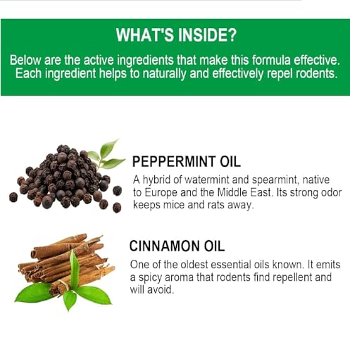 Criyale Rat Repellent For Car, Home 10 Tablets Peppermint Oil for Mice Squirrel Rats Spider Pests to Protect Wires in Car, Bike & Truck Engine No Kill Only Repels Home Indoor-Outdoor Garage Rat Controller Pills to Keep Rodents Out of Car