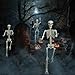 UMEELR 5.9FT Full Size Skeleton, Life Size Poseable Skeleton for Halloween Outdoor Decoration