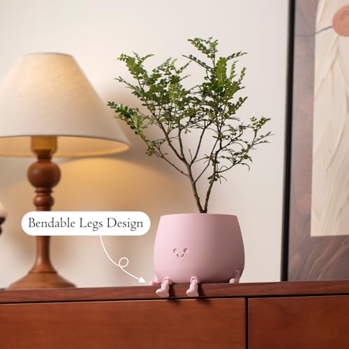 Image of TOPOLA Happy Face Planter, 5.2 Inches Plastic Plant Pot, Self Watering Plant Pot with Drainage Holes for Indoor Outdoor, Succulent Pot, Funny Flower Pot, Sakura