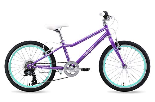 best 20 inch kids bike