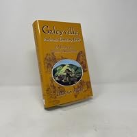 Galeyville, Arizona Territory 1880: It's History and Historical Archaeology 1571971785 Book Cover