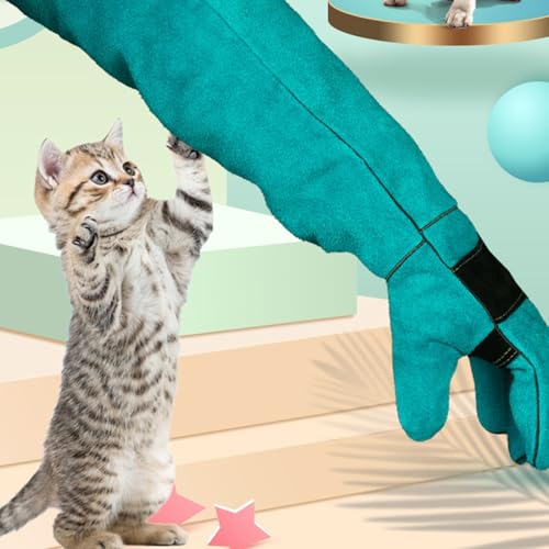 Gants de manipulation pour l'élagage des roses et chien - 3