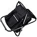 shenruifa Backpack Cooler Chair Lightweight Large Capacity Folding Camping Stool for Outdoor Travel Beach Hiking Picnic (Black)