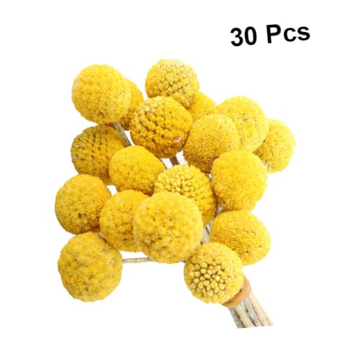 BESPORTBLE 30 tallos flores secas decorativas amarillas miniatura 7
