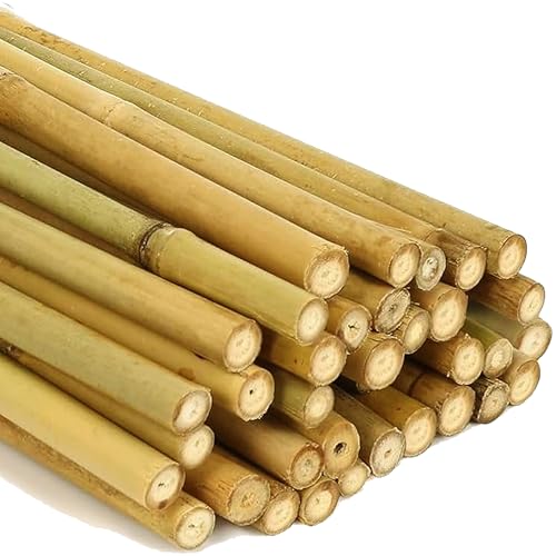 AQS INTERNATIONAL 2ft-7ft Professional Large Bamboo Canes Strong Heavy Duty Thick Natural Stake Pole Can Plants Garden Plant Flower Gardening Sticks Supports (10, 2FT (8-10mm))
