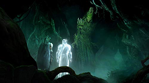 LOmbre de la Guerre Definitive Edition Jeu PS4 - vue 7