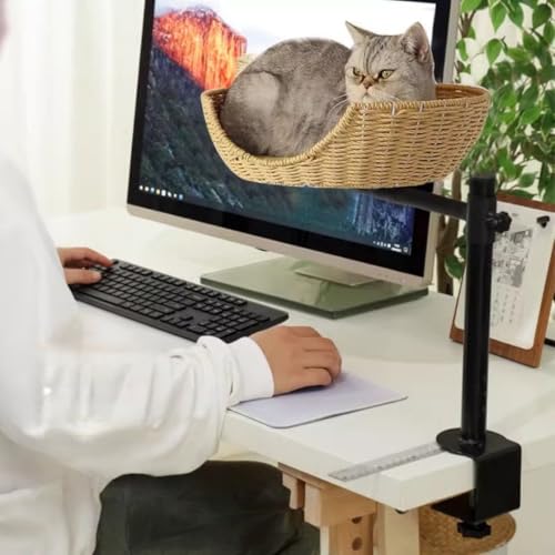 hybmszj Lpxbh fXNLxbh ȃXy[X Ή 360x]~ LpfXNxbh fXNpLxbh tȒP ȃt[t fXNt^ X^h ω׏d20kg ItBX^ƒ^^Ap[gΉ ybgNbV