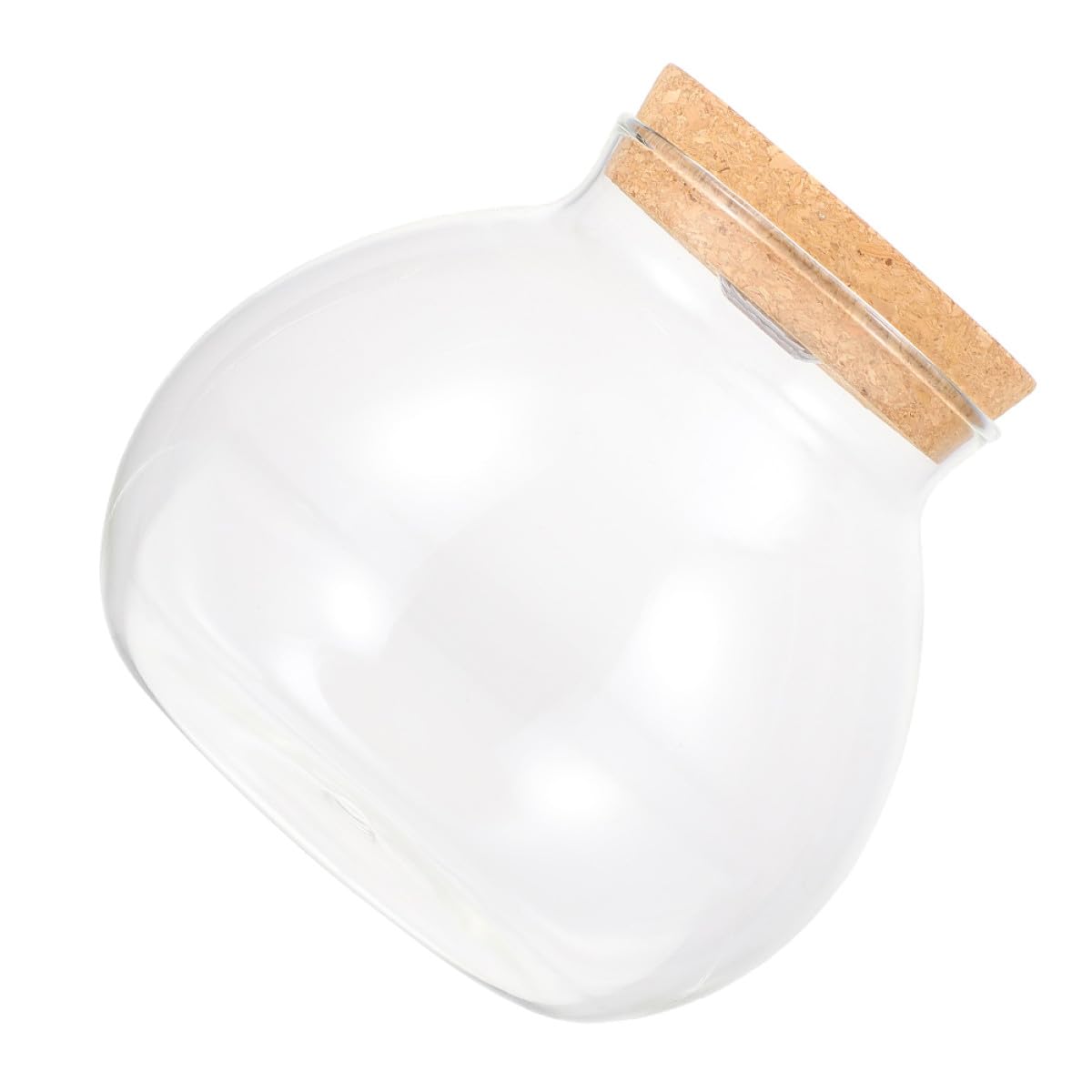 ifundom Vaso Idroponico in Vetro 15Cmx16Cm Luce LED e Coperchio in Sughero, Contenitore Decorativo da Tavolo per Piante Aeree in Ufficio e Casa