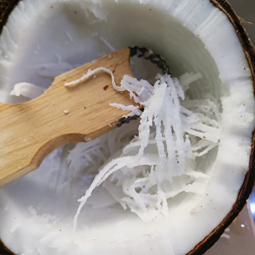 Heavens Tvcz Hand Coconut Shredder Machine Grater Papaya Fruit Black Grass Jelly Scraper Thai Tools Kitchen For Slicer Hand Coconut 2In1 Wood Grater Kitchen Utensils #TOP3
