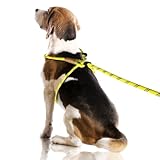 lynxking Dog Leash Rope Leads 2 Packs 6ft Strong Snap Hook Slip Leashes Hand Made Leather Clips with Double Layer Braided Handle for Small Medium Large Dogs (Orange and Black, 2 Pack Slip Leash)