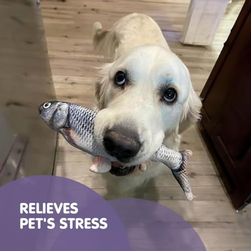 Kidology Floppy Fish Soft Toy for Dogs, Puppy Chew & Kicker - Moving Interactive Toy, USB-Chargeable, Indoor Playing, Exercising - Image 5