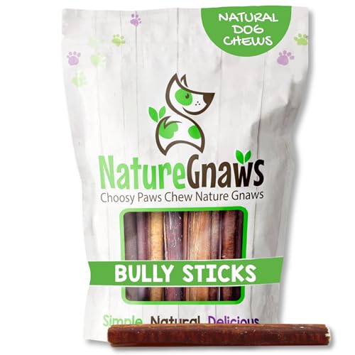 Image of Nature Gnaws Large Bully Sticks for Dogs 5-6 inch (3 Count) - Thick Long Lasting for Aggressive Chewers and Large Dogs - Natural Beef Dog Chew Bones