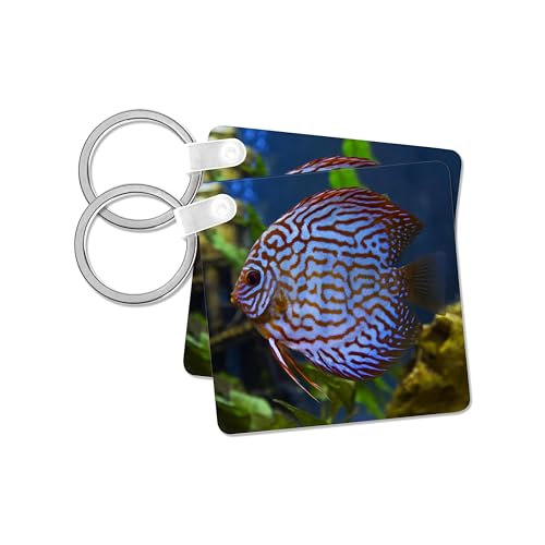 3dRose, Freshwater tropical discus, Mosaic Turquoise Discus., set of 2 Key Chains