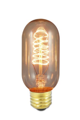 Bulbrite Incandescent T14 Medium Screw Base (E26) Light Bulb, 40 Watt, Antique
