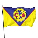 PT&CM Decoration Flag,Bright Color Fade-Resistant Polyester Brass Buttonhole For Interior And Exterior Decoration 3X5