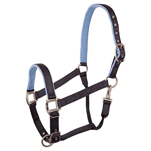 Halfter BR Event azul de cincha fuerte para caballo grande 4