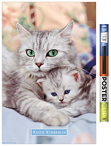 Trends International Keith Kimberlin - Momma and Kitten Wall Poster, 34L x 22.4W, Premium Poster & Clip Bundle
